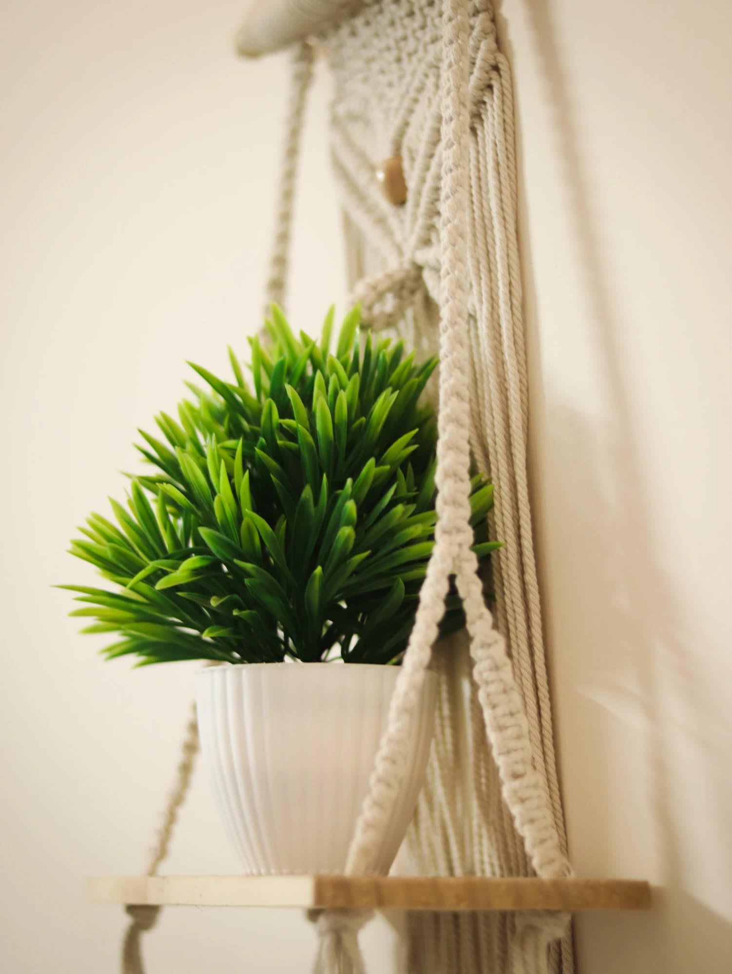 A cream macrame hanger holds a wooden shelf with a small green plant in a white pot