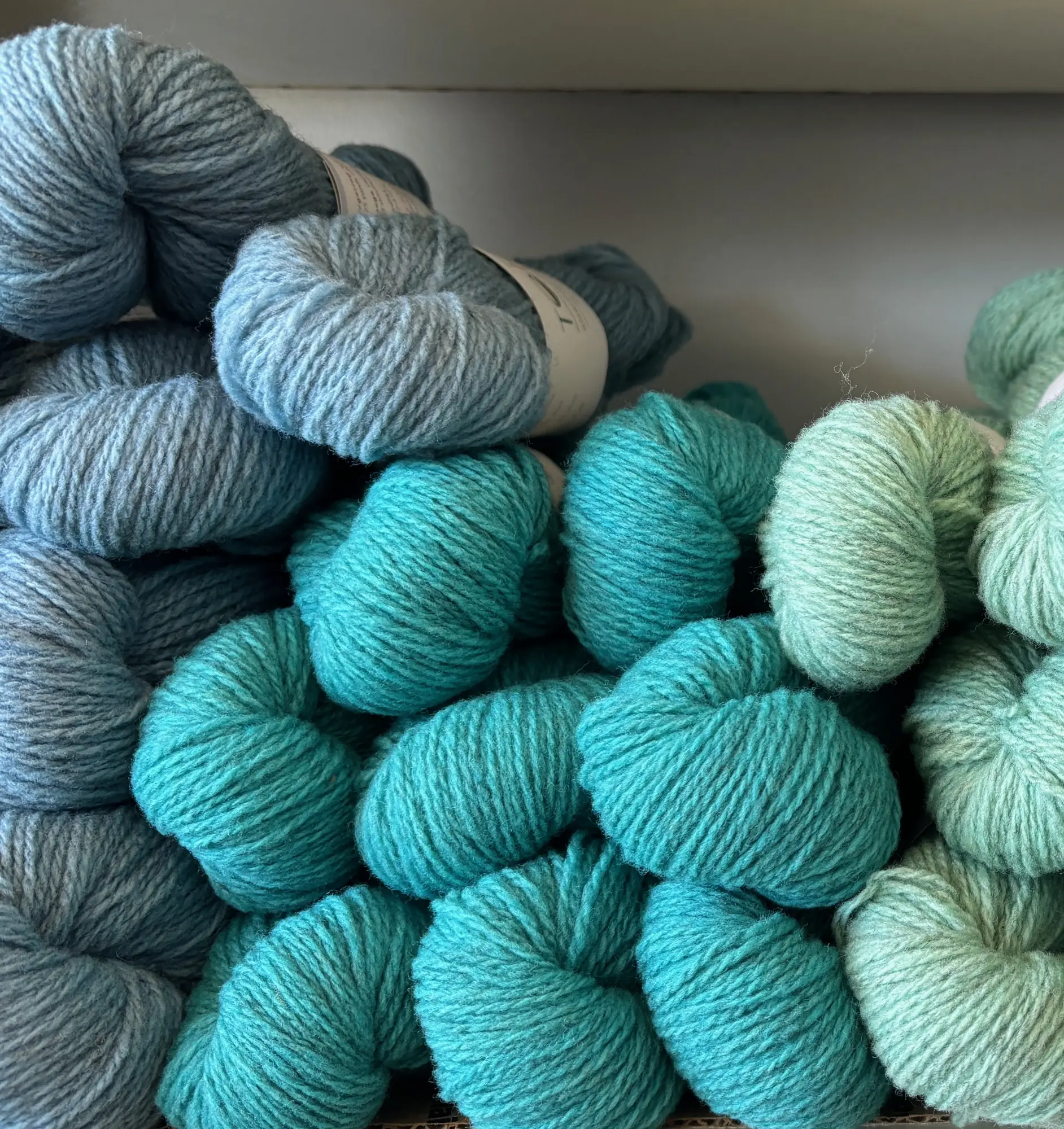 Skeins of wool yarn in shades of teal, turquoise and mint are piled on a white shelf