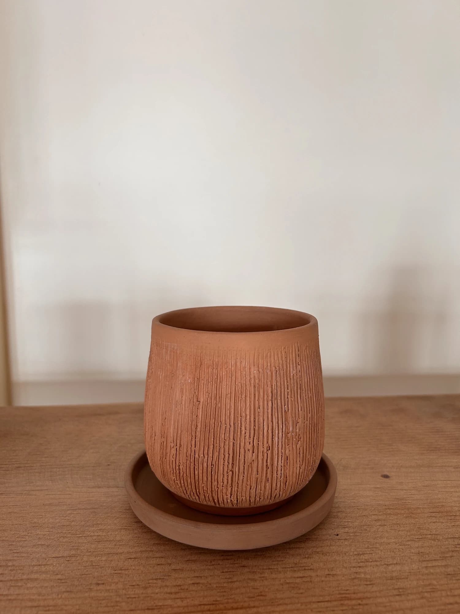A rustic terracotta pot with fine vertical texture sits on a matching saucer against a plain cream wall